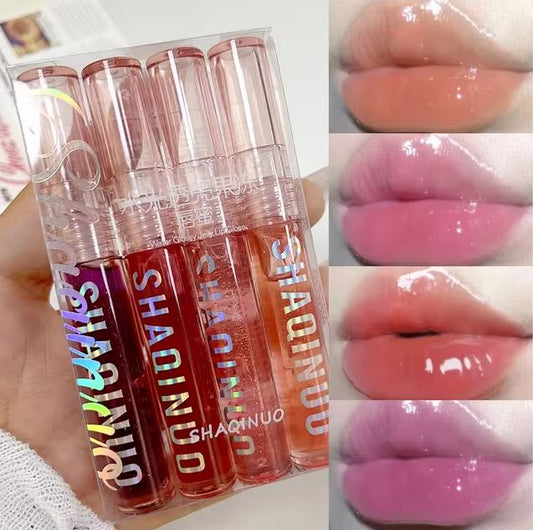 Shaniquo 4pcs Lip Gloss Set