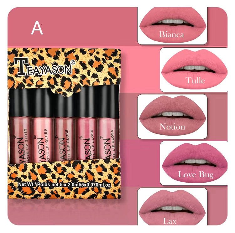 Teayason Matte Mini Lip Gloss Set (5 Pack)