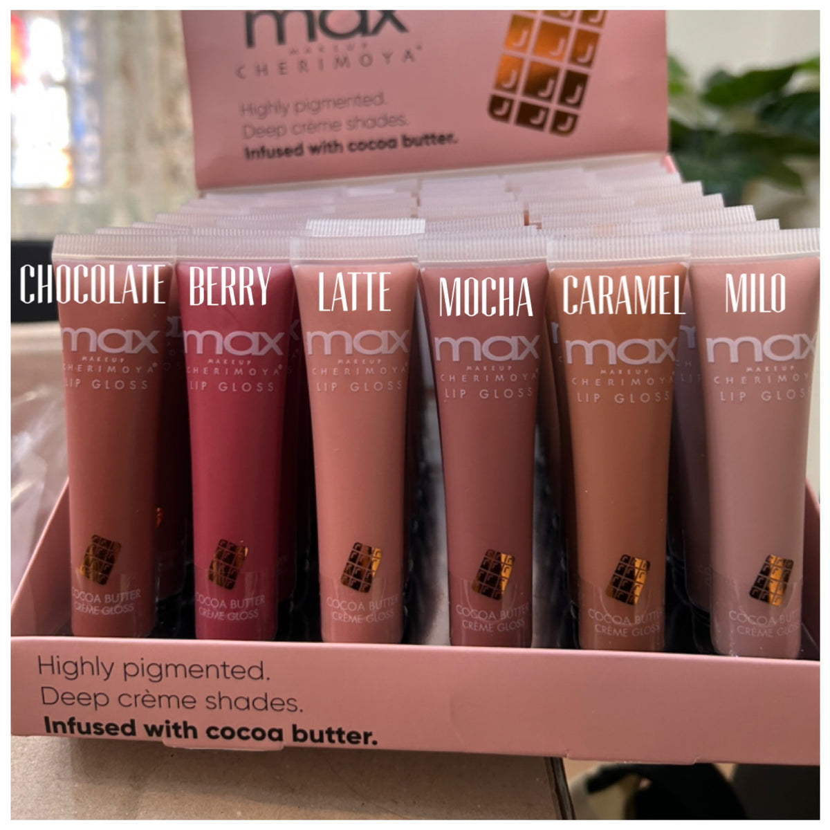 MAX Cherimoya Cocoa Butter Lip Gloss Set (6Pack)